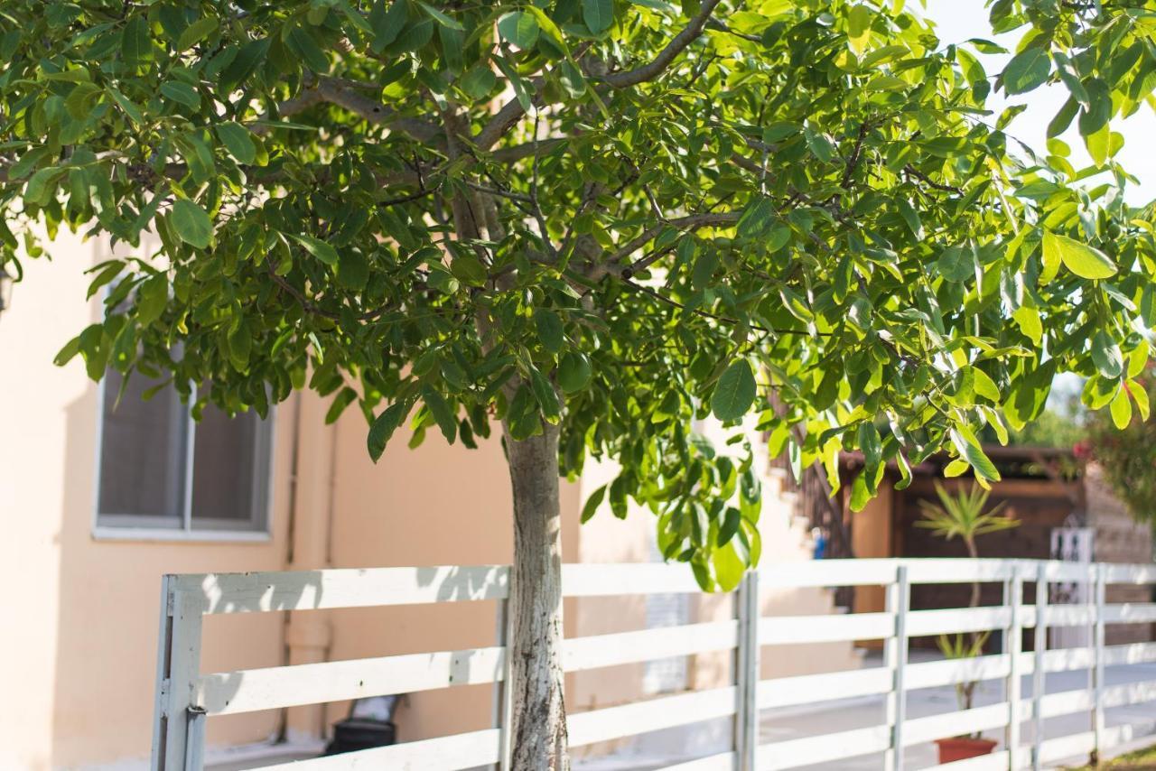 Sandy Beach Houses - Sea View Kavos Ngoại thất bức ảnh